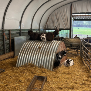 Ark Farm all weather shelter
